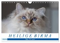 Heilige Birma Katzenkalender (Wandkalender 2024 DIN A4 quer), CALVENDO Monatskalender - Michaela Münch