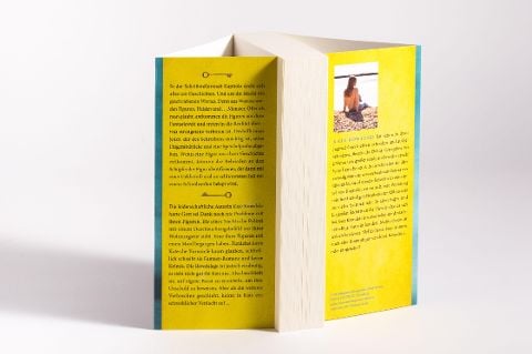 InsideView 4