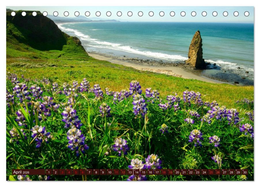 InsideView 9