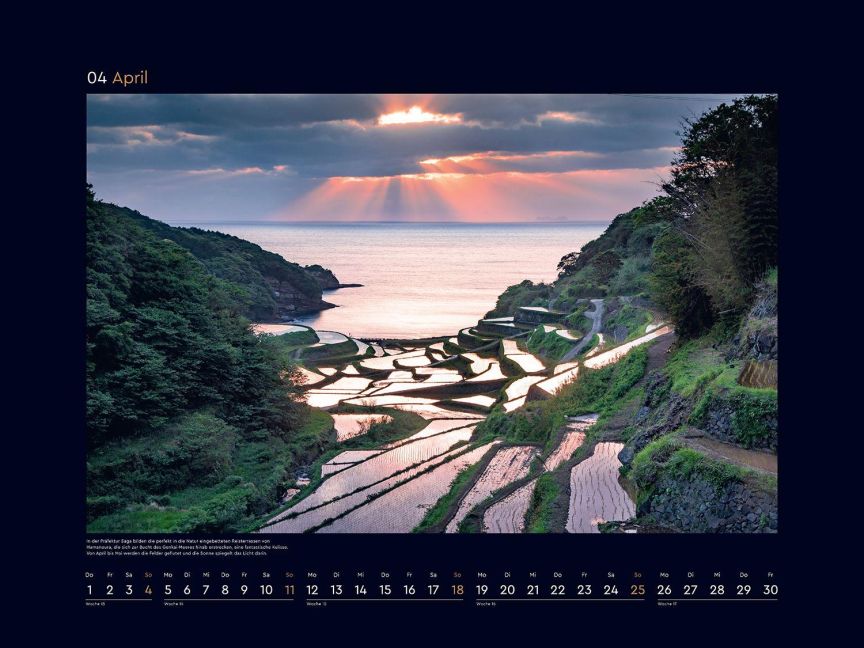 InsideView 7