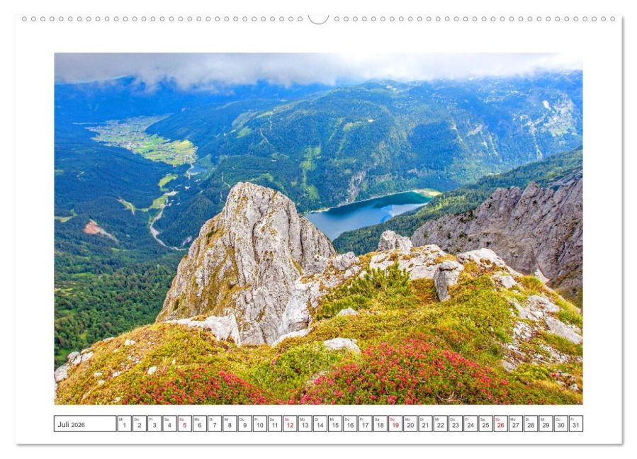 InsideView 11