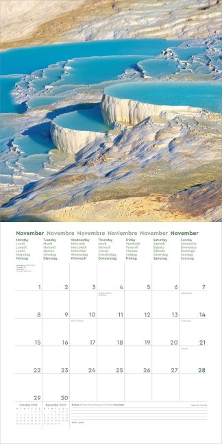 InsideView 13