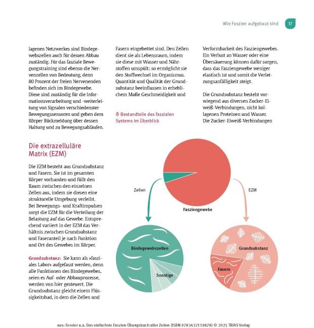 InsideView 13