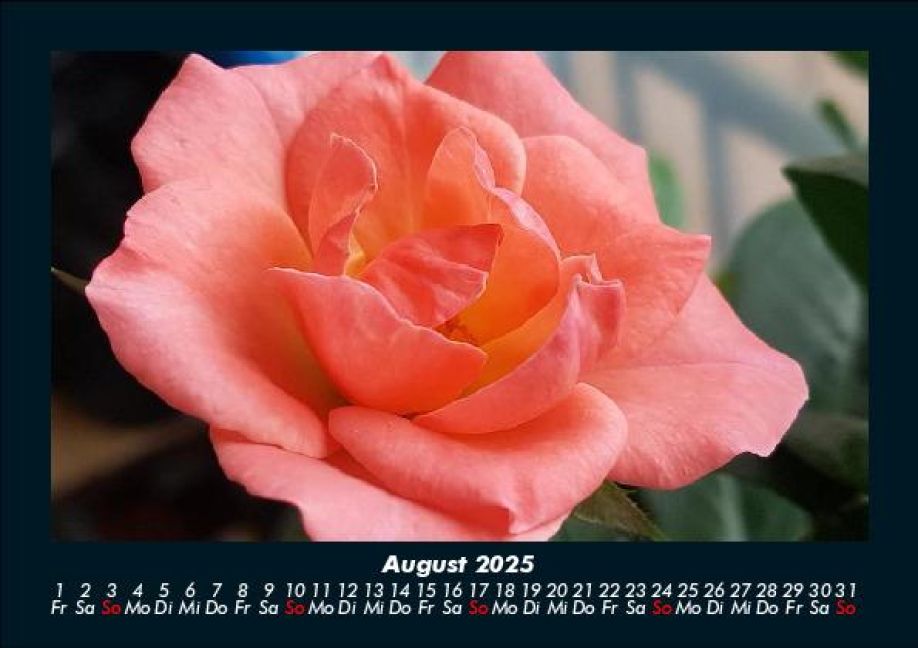 InsideView 12