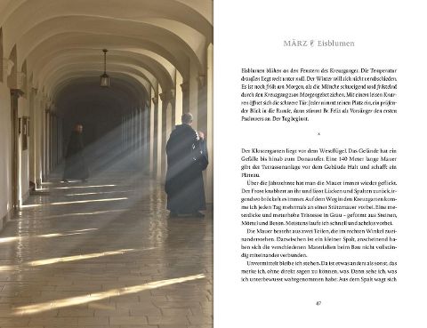 InsideView 18