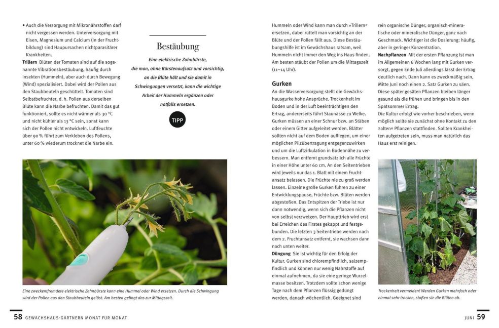 InsideView 7