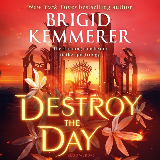 Destroy the Day - Brigid Kemmerer