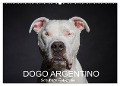 DOGO ARGENTINO (Wandkalender 2024 DIN A2 quer), CALVENDO Monatskalender - Schuberts-Fotografie Schuberts-Fotografie