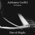 Adrianne Geffel Lib/E: A Fiction - David Hajdu