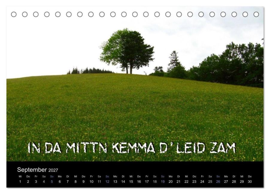 InsideView 14