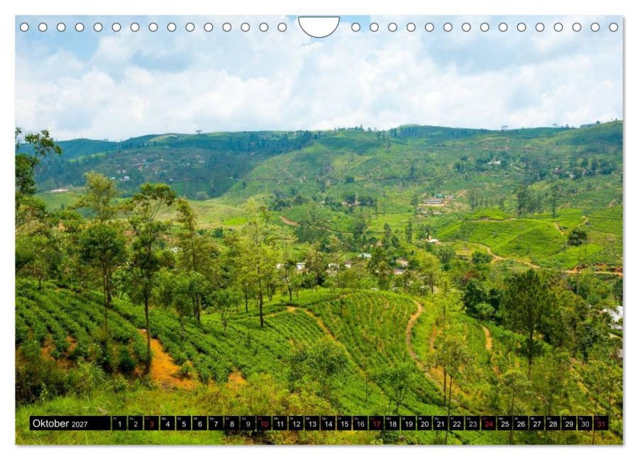 InsideView 2