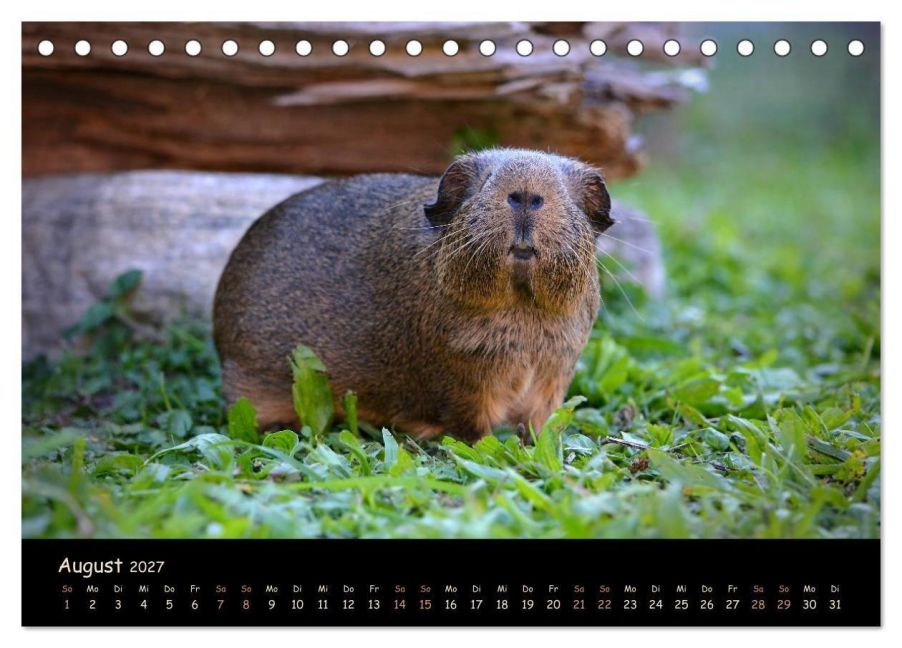 InsideView 13