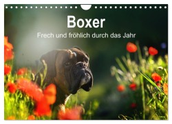 Cover-Bild zum Titel 'Boxer Frech und fröhlich durch das Jahr (Wandkalender 2026 DIN A4 quer), CALVENDO Monatskalender' von 'Yvonne Janetzek'