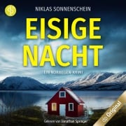Cover-Bild zum Titel 'Eisige Nacht - Ein Norwegen-Krimi' von 'Niklas Sonnenschein'