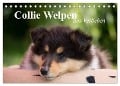 Collie Welpen zum Verlieben (Tischkalender 2024 DIN A5 quer), CALVENDO Monatskalender - Thomas Quentin