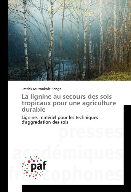 La lignine au secours des sols tropicaux pour une agriculture durable - Patrick Mutonkole Senga