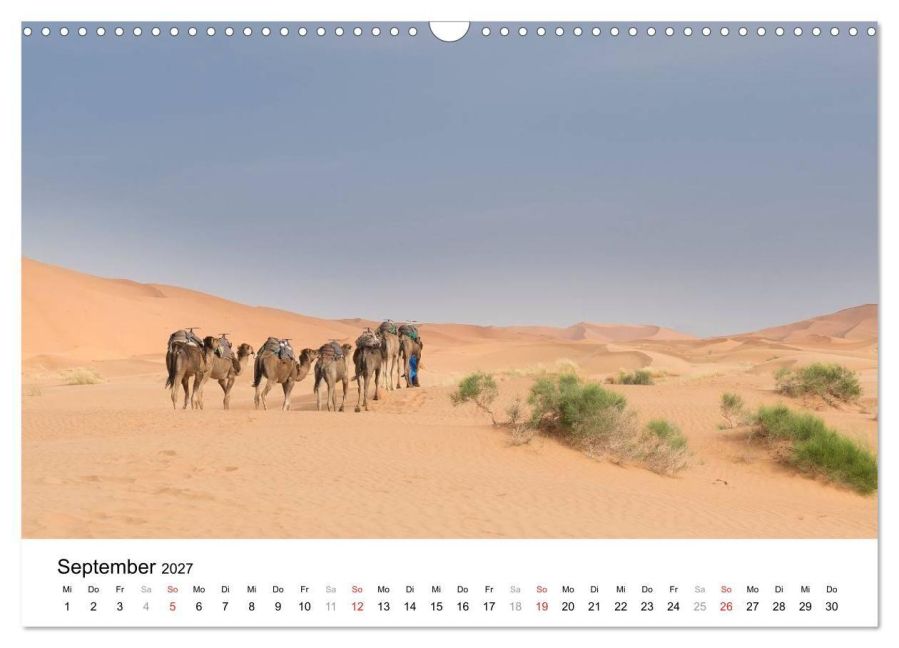 InsideView 14