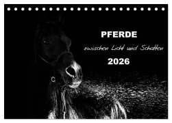 Pferde zwischen Licht und Schatten (Tischkalender 2026 DIN A5 quer), CALVENDO Monatskalender - Sabine Peters Artwork & Photographie