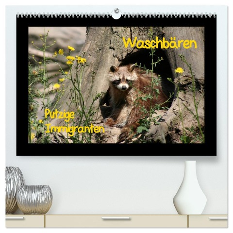 Waschbären (hochwertiger Premium Wandkalender 2024 DIN A2 quer), Kunstdruck in Hochglanz - Antje Lindert-Rottke