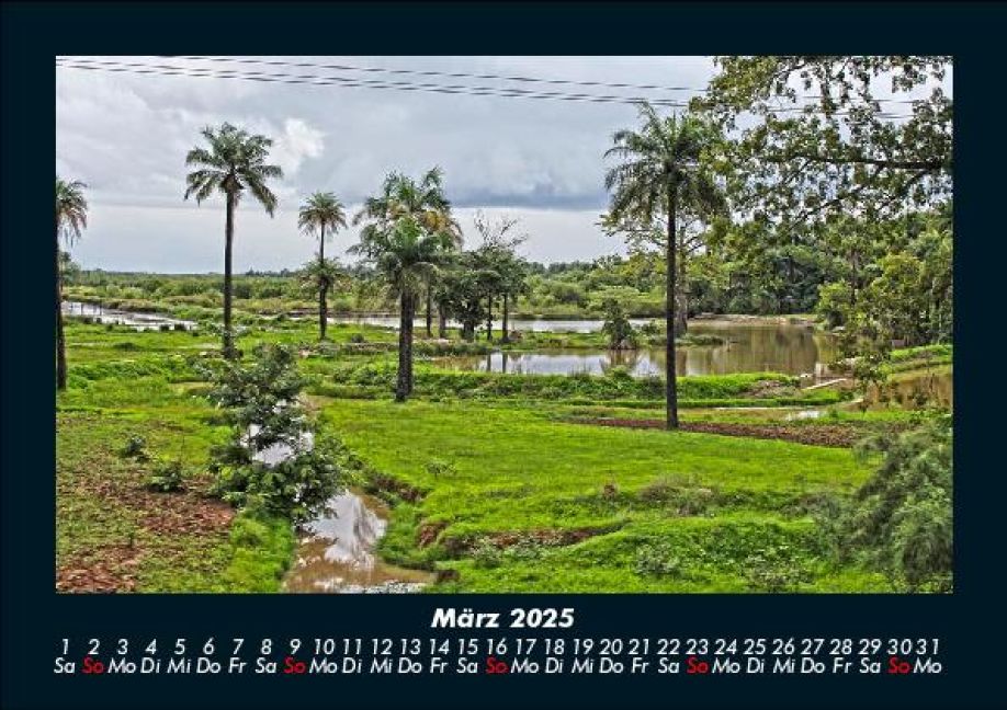 InsideView 7