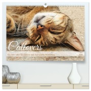 Cover-Bild zum Titel 'Catlovers - Ein Jahr voller Samtpfoten und charmanten Weisheiten (hochwertiger Premium Wandkalender 2026 DIN A2 quer), Kunstdruck in Hochglanz' von 'Michaela Schimmack'