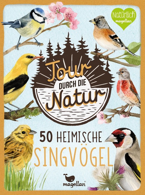 Tour durch die Natur - Heimische Singvögel - 