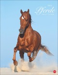 Pferde Classics Posterkalender 2025 - 