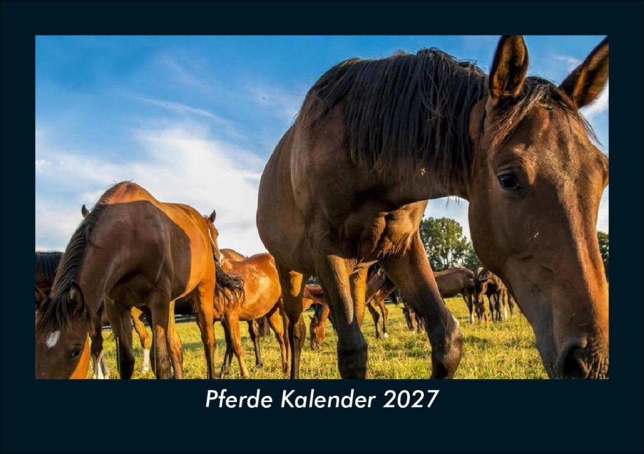 Pferde Kalender 2027 Fotokalender DIN A5 - Tobias Schmitt, Kevin Heber