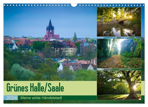 Grünes Halle/Saale - Meine wilde Händelstadt (Wandkalender 2024 DIN A3 quer), CALVENDO Monatskalender - Martin Wasilewski