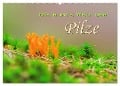 Die bunte Welt der Pilze (Wandkalender 2024 DIN A2 quer), CALVENDO Monatskalender - LianeM LianeM