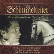 Cover-Bild zum Titel 'Der Schimmelreiter' von 'Theodor Storm'