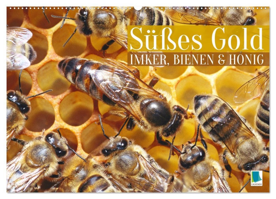 Süßes Gold: Imker, Bienen & Honig (Wandkalender 2026 DIN A2 quer), CALVENDO Monatskalender - Calvendo Calvendo