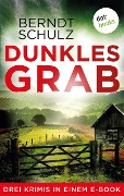 Dunkles Grab - Berndt Schulz