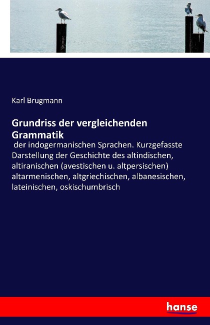 Grundriss der vergleichenden Grammatik - Karl Brugmann