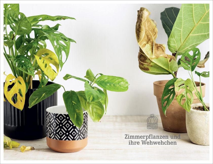 InsideView 5