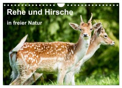 Rehe und Hirsche in freier Natur (Wandkalender 2025 DIN A4 quer), CALVENDO Monatskalender - Photoga Photography Wernicke-Marfo