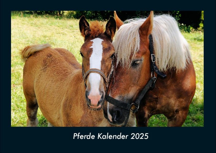 Pferde Kalender 2025 Fotokalender DIN A4 - Tobias Becker