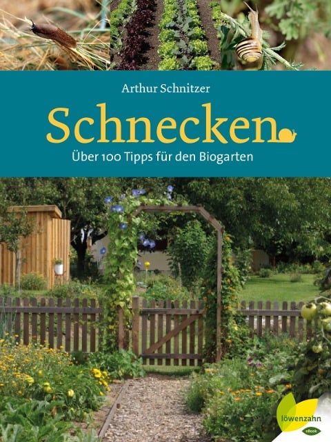 Schnecken - Arthur Schnitzer
