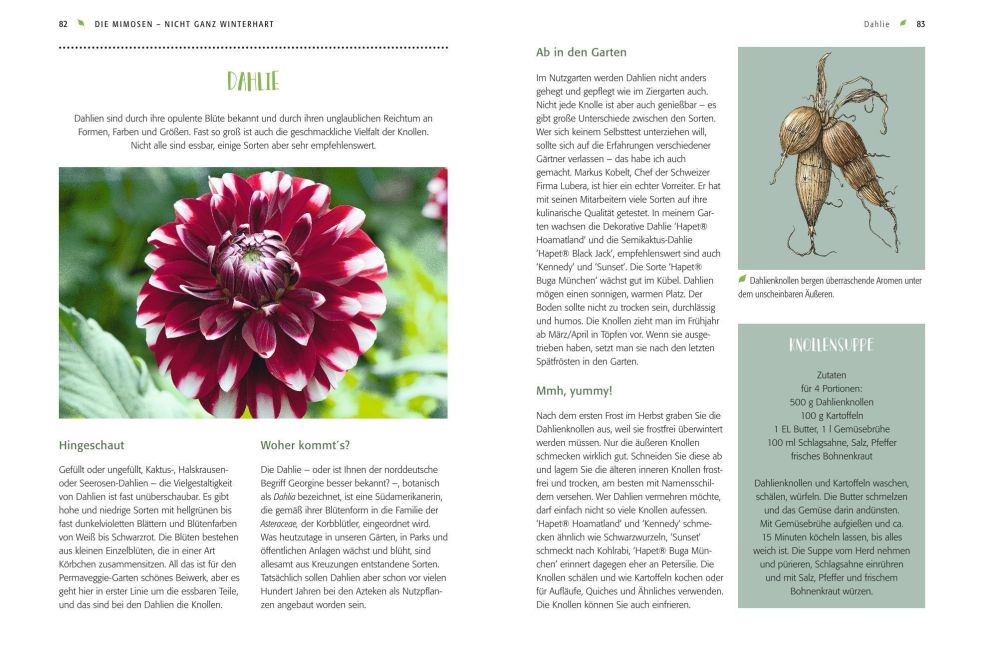 InsideView 7