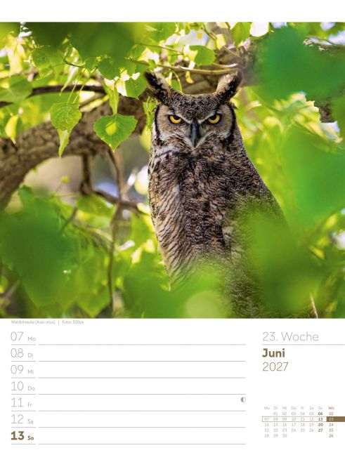 InsideView 27