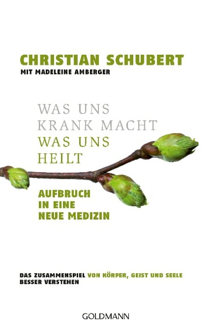 Was uns krank macht - Was uns heilt - Christian Schubert