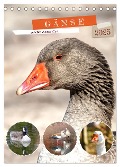 Gänse, geliebte Wasservögel (Tischkalender 2025 DIN A5 hoch), CALVENDO Monatskalender - Sabine Löwer