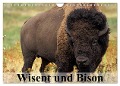 Wisent und Bison (Wandkalender 2024 DIN A4 quer), CALVENDO Monatskalender - Elisabeth Stanzer