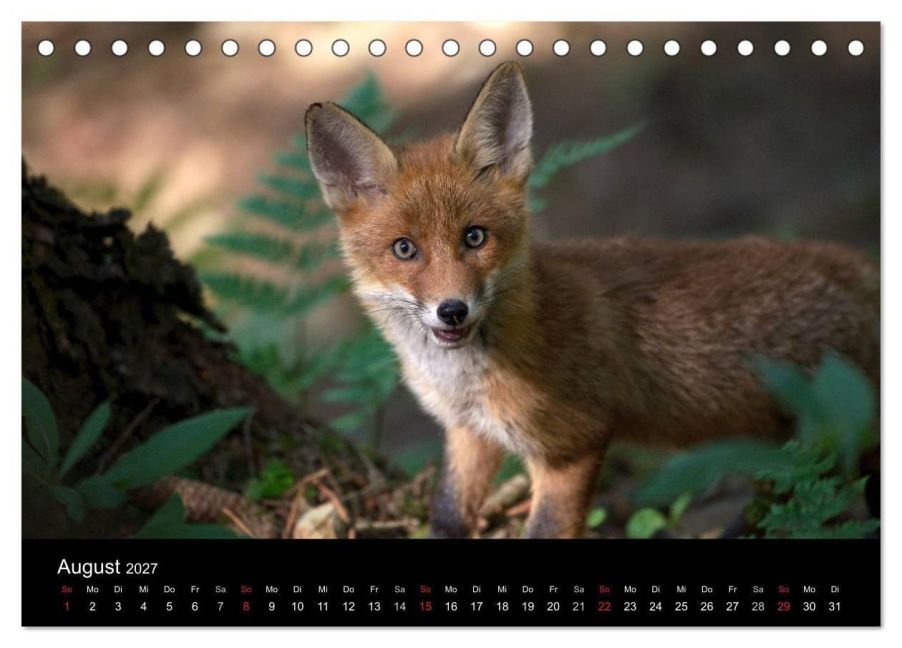 InsideView 13