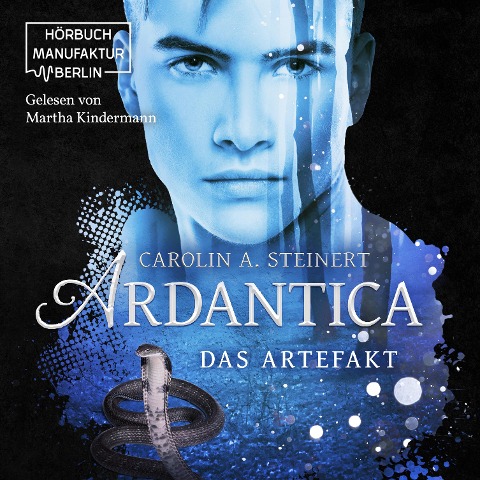 Das Artefakt - Carolin A. Steinert