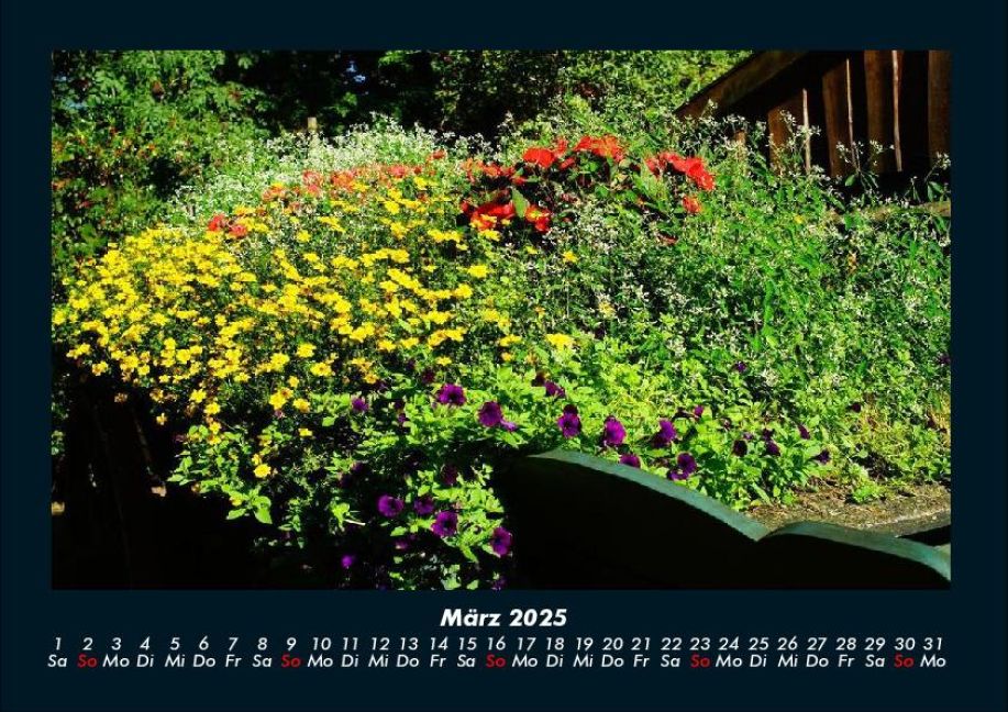 InsideView 7
