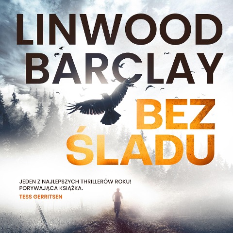 Bez ¿ladu - Linwood Barclay