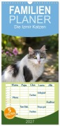 Cover-Bild zum Titel 'Familienplaner 2027 - Die Izmir Katzen mit 5 Spalten (Wandkalender, 21 x 45 cm) CALVENDO' von 'Petrus Bodenstaff'