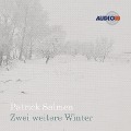 Cover-Bild zum Titel 'Zwei weitere Winter' von 'Patrick Salmen'
