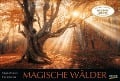 Magische Wälder 2025 - 